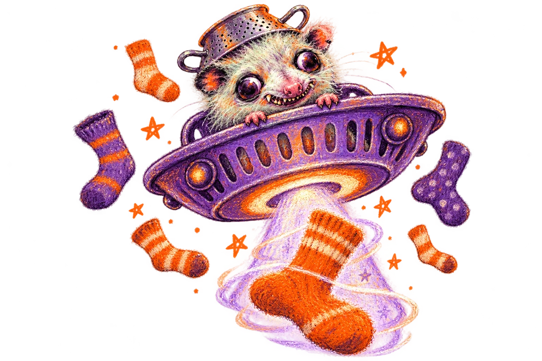 A possum pilots a laundry-basket UFO and abducts an orange sock